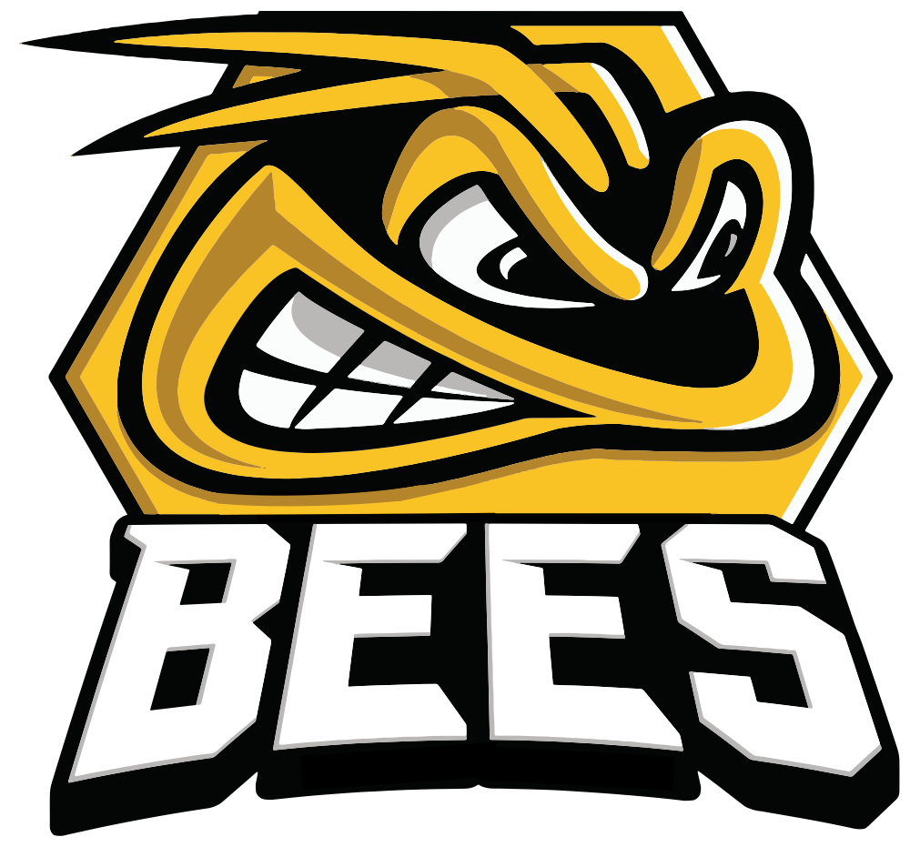 Bracknell Bees | Milton Keynes Lightning