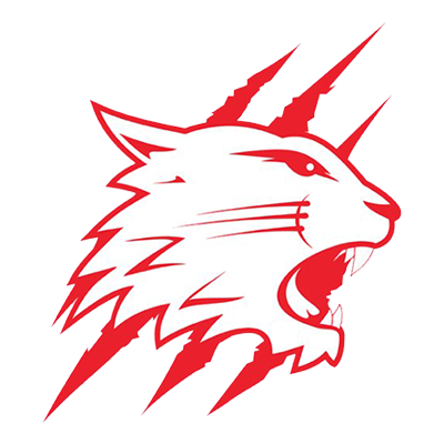 Swindon Wildcats | Milton Keynes Lightning