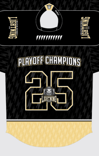 Screenshot 2025-05-01 at 16.42.25 Play off champions jersey 24/25